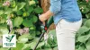 BOSCH 06008C1C03 EasyGrassCut 18V-26 Akkus szegélyvágó (1x2,0Ah)