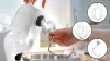 Bosch MUM58210 Konyhai robotgép MUM5 Fehér/ezüst
